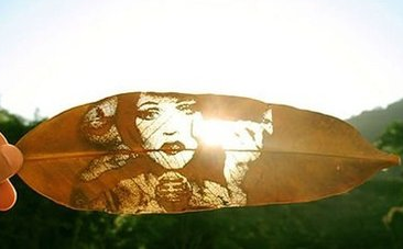 激光雕刻樹葉 給你不一樣的視覺(jué)體驗(yàn)